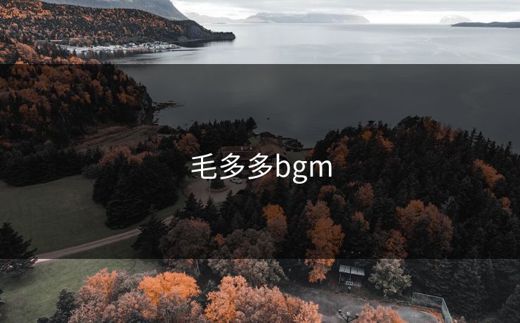 毛多多bgm