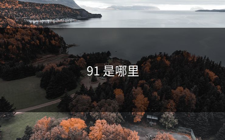 91 是哪里