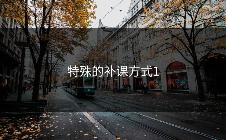 特殊的补课方式1