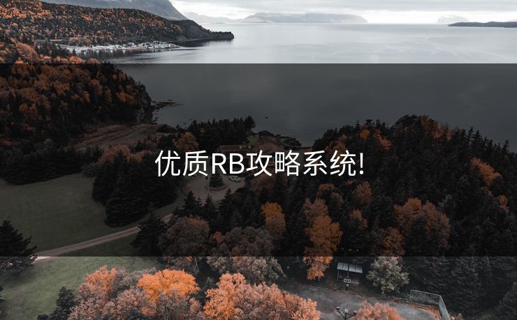 优质RB攻略系统!