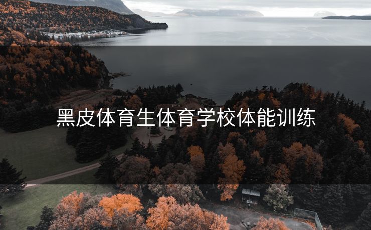 黑皮体育生体育学校体能训练
