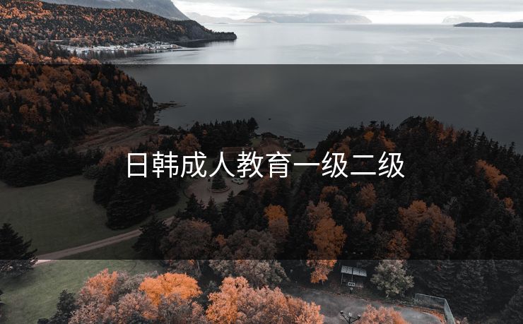 日韩成人教育一级二级