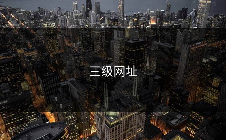三级网址