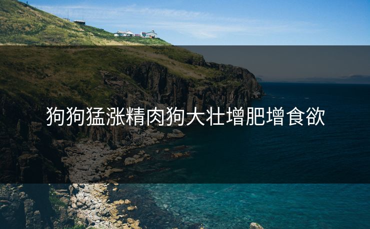 狗狗猛涨精肉狗大壮增肥增食欲